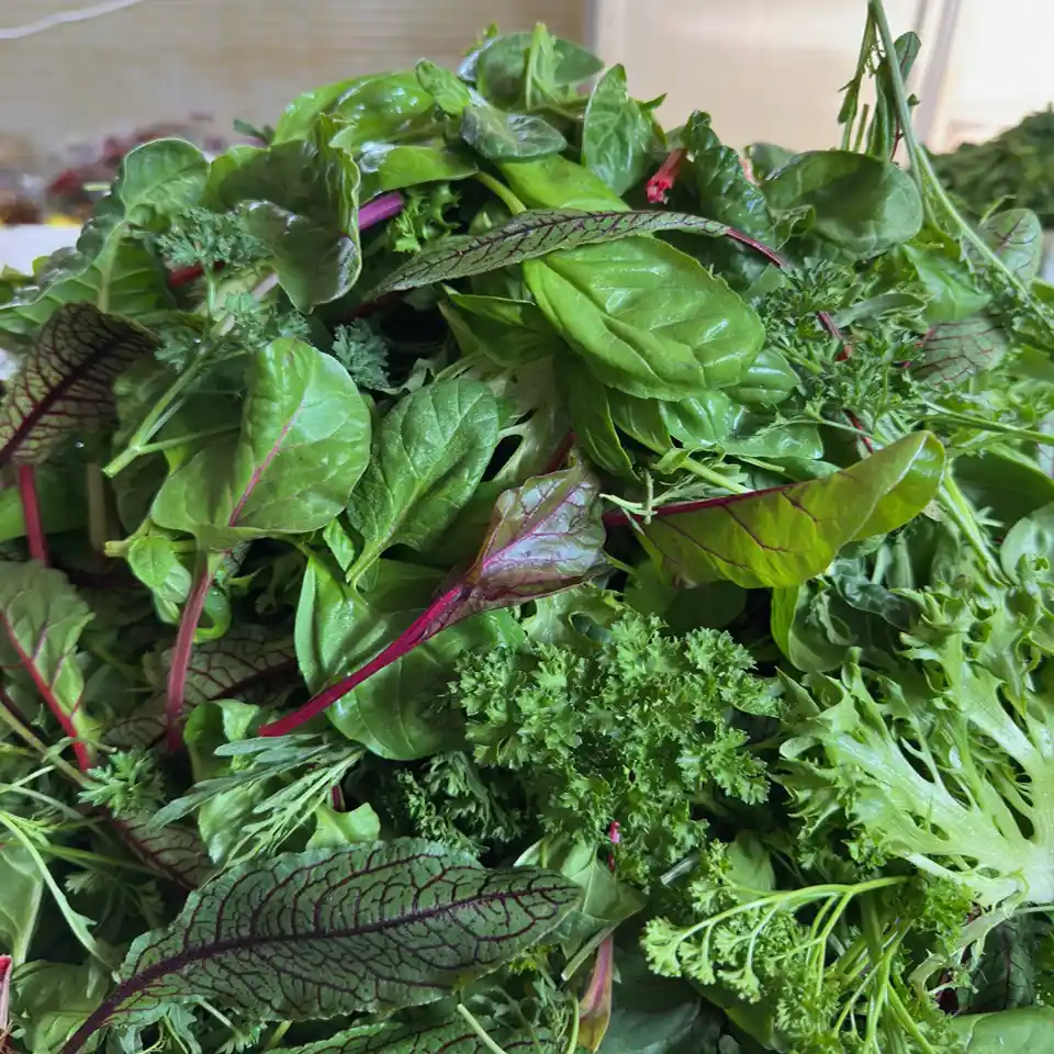 سالاد میکس Mediterranean Greens Mix - تصویر 2