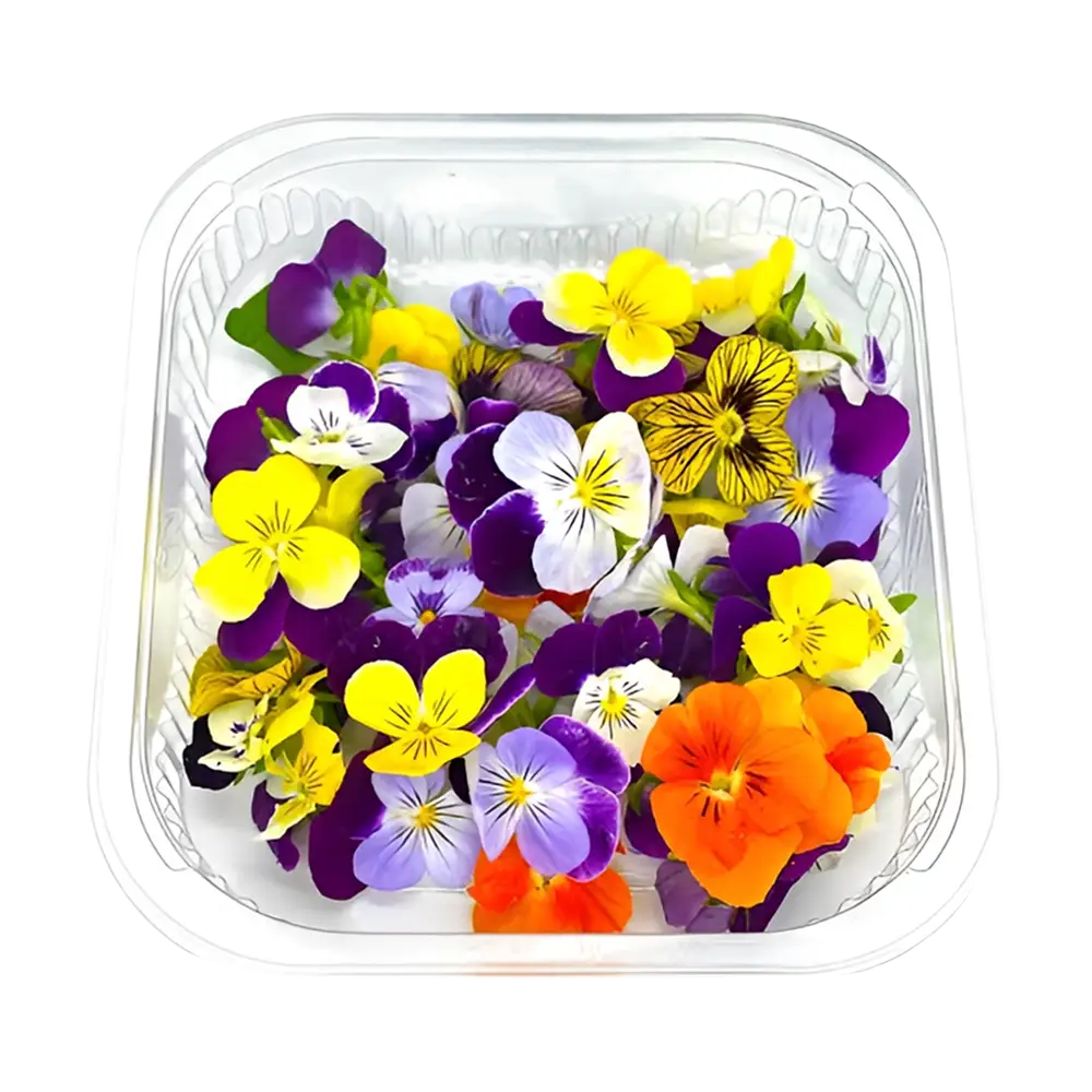 گل بنفشه خوراکی